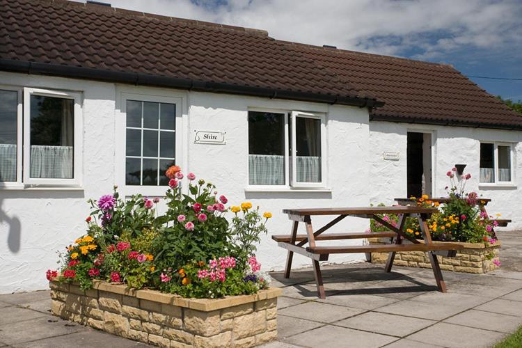 Doubleton Farm Cottages Weston-super-Mare Zimmer foto